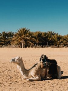 Tunisia