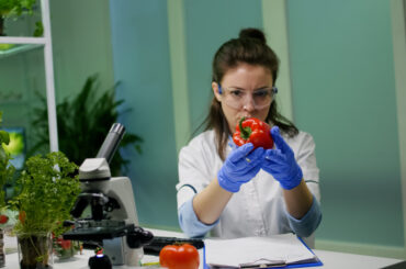 antropologia alimentatiei