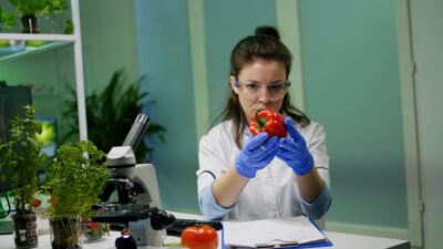 antropologia alimentatiei